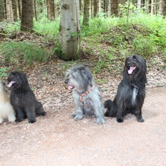 Urlaub im Schwarzwald (17)